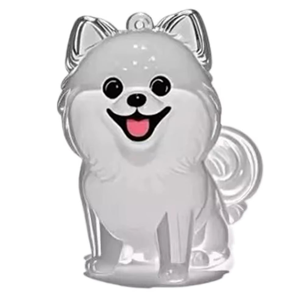 Clear Pet Hair Keychain Cute Dog Fur Keepsake Holder Creative Transparent Pet Hair Memorial Collection Pendant for Dog/Cat