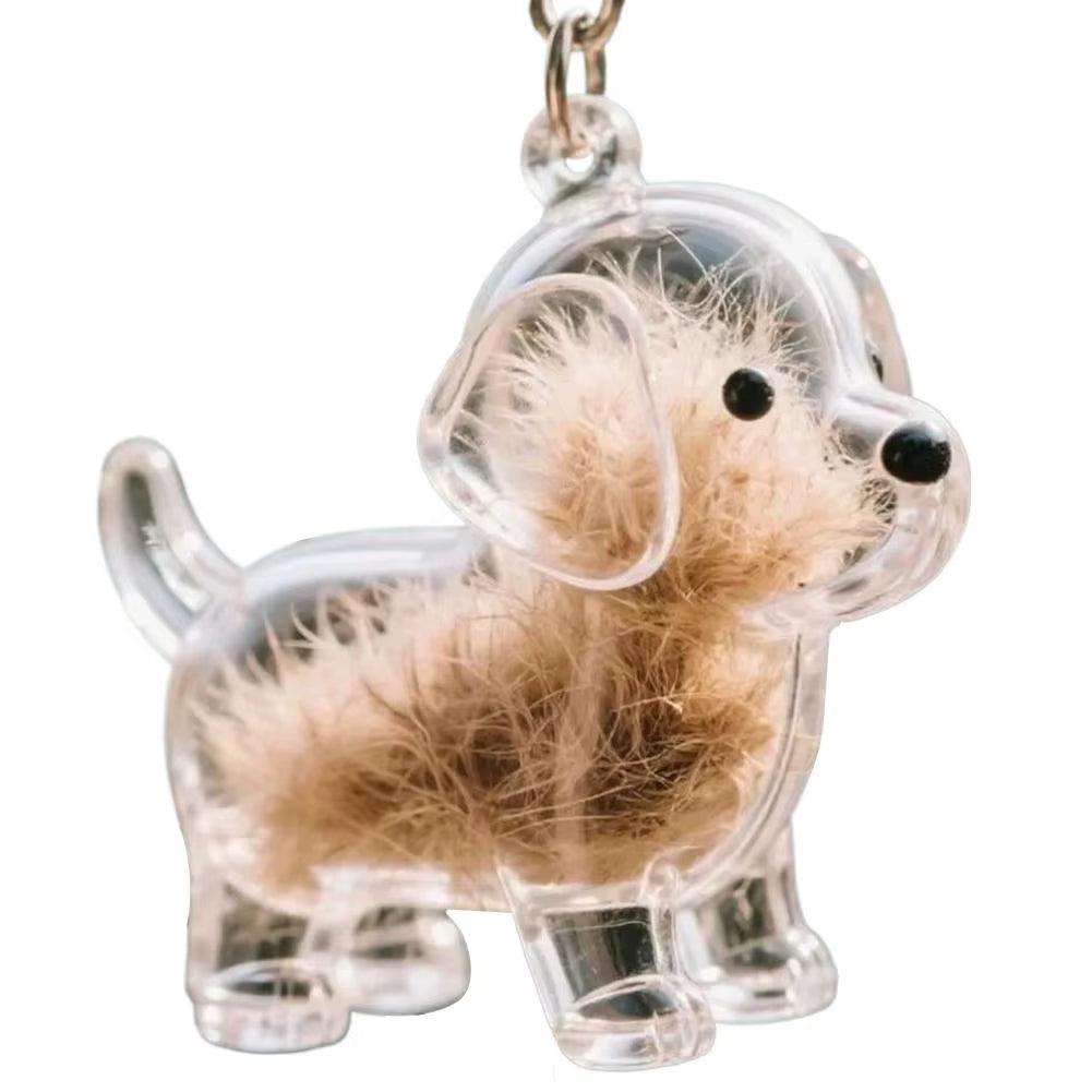 Clear Pet Hair Keychain Cute Dog Fur Keepsake Holder Creative Transparent Pet Hair Memorial Collection Pendant for Dog/Cat