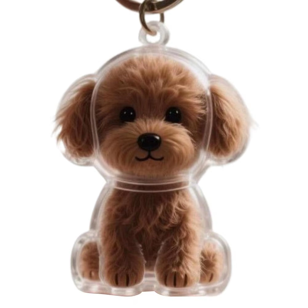 Clear Pet Hair Keychain Cute Dog Fur Keepsake Holder Creative Transparent Pet Hair Memorial Collection Pendant for Dog/Cat